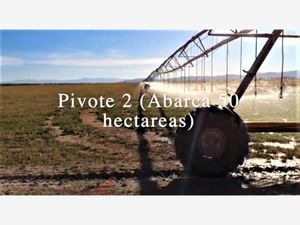 Terreno en Venta en San Rafael Galeana