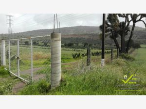 Finca/Rancho en Venta en Las Cruces Singuilucan