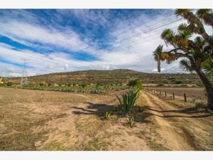 Finca/Rancho en Venta en Las Cruces Singuilucan