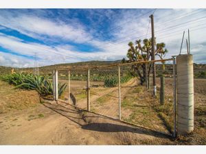 Finca/Rancho en Venta en Las Cruces Singuilucan