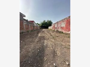 Terreno en Venta en Nuevo Culiacan Culiacán