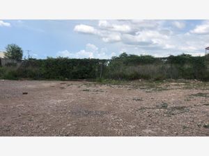 Terreno en Venta en Santa Fe Culiacán