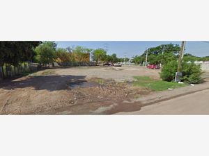 Terreno en Venta en Las Flores Culiacán