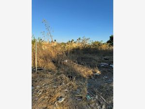 Terreno en Venta en Santa Ana Tepetitlan Zapopan