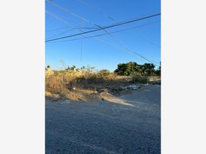 Terreno en Venta en Santa Ana Tepetitlan Zapopan