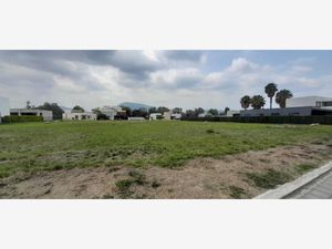 Terreno en Venta en Emiliano Zapata Nexatengo Atlixco