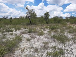 Terreno en Venta en Tecali de Herrera Tecali de Herrera