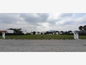 Terreno en Venta en Emiliano Zapata Nexatengo Atlixco