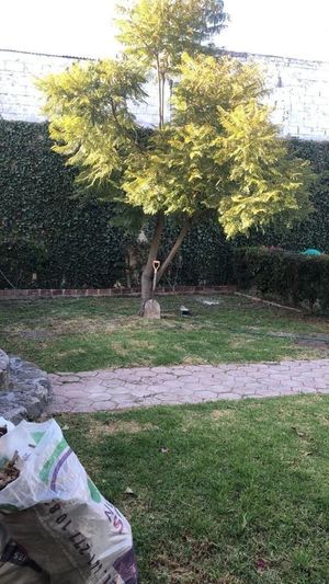 VENTA CASA POLOTITLAN EDO. DE MEXICO A 15 MINUTOS SAN JUAN DEL RIO.