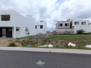 Terreno plano en la sección Arbolé en Gran Reserva Preserve