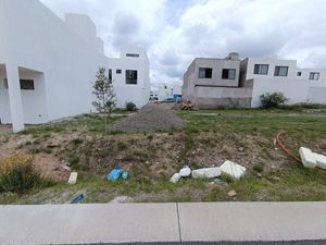 Terreno plano en la sección Arbolé en Gran Reserva Preserve