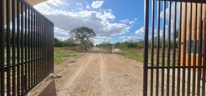 Terreno en venta en Chicxulub, Yucatán