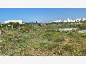 Terreno en Venta en Chelem Progreso