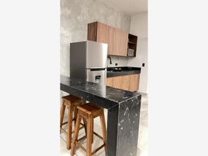 Departamento en Renta en Santa Gertrudis Copo Mérida