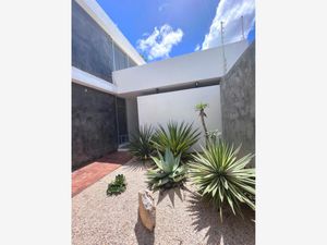 Casa en Renta en Temozon Norte Mérida