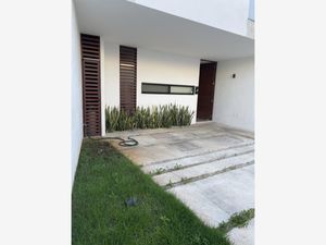 Casa en Renta en Benito Juárez Nte Mérida