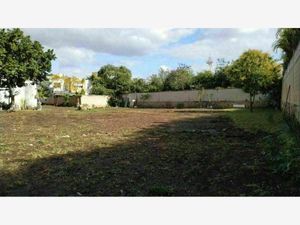 Terreno en Venta en Santa Rita Cholul Mérida