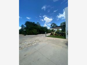 Terreno en Venta en Santa Gertrudis Copo Mérida