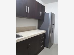 Departamento en Renta en Garcia Gineres Mérida