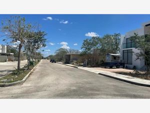 Terreno en Venta en Yaxkukul Yaxkukul