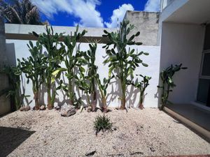 Casa en Renta en Temozon Norte Mérida