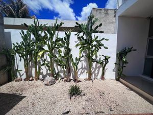 Casa en Renta en Temozon Norte Mérida