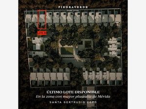 Terreno en Venta en Santa Gertrudis Copo Mérida