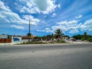 Terreno en Venta en Chelem Progreso