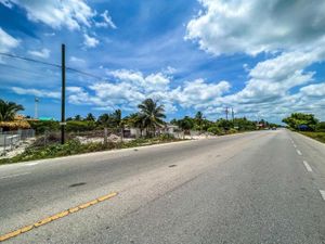 Terreno en Venta en Chelem Progreso