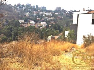 Terreno en Venta en Lomas del Río Naucalpan de Juárez