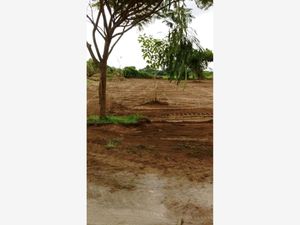 Terreno en Venta en Campestre las Bajadas Veracruz