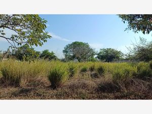 Terreno en Venta en Campestre las Bajadas Veracruz