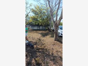 Terreno en Venta en Campestre las Bajadas Veracruz