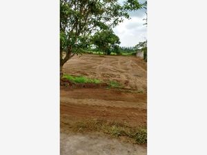 Terreno en Venta en Campestre las Bajadas Veracruz