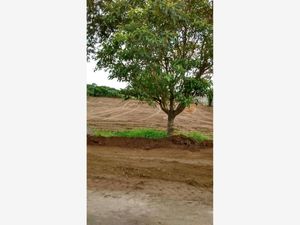 Terreno en Venta en Campestre las Bajadas Veracruz