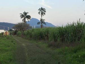 Terreno en Venta en 27 de Septiembre El Guayabal Ixtaczoquitlán