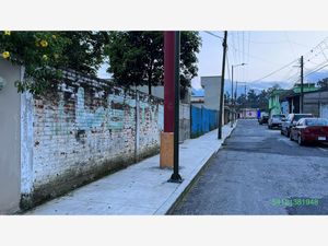 Terreno en Venta en Rafael Alvarado Orizaba