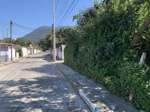 Terreno en Venta en Huiloapan de Cuauhtémoc Centro Huiloapan de Cuauhtémoc