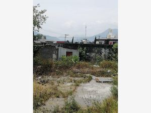 Terreno en Venta en Orizaba Centro Orizaba