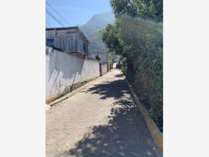 Terreno en Venta en Huiloapan de Cuauhtémoc Centro Huiloapan de Cuauhtémoc