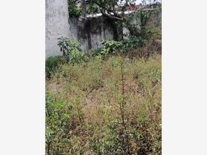 Terreno en Venta en Orizaba Centro Orizaba