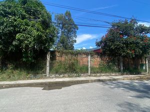 Terreno en Renta en Nogales Centro Nogales