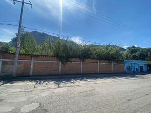 Terreno en Renta en Nogales Centro Nogales