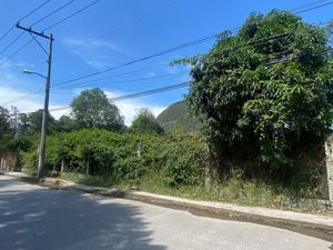 Terreno en Renta en Nogales Centro Nogales