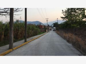 Terreno en Venta en 27 de Septiembre El Guayabal Ixtaczoquitlán