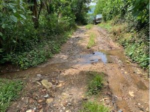 Terreno en Venta en Río Blanco Centro Río Blanco