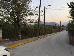 Terreno en Venta en 27 de Septiembre El Guayabal Ixtaczoquitlán