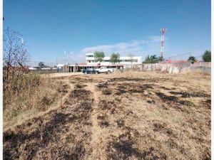 Terreno en Venta en San Bernardino Tlaxcalancingo San Andrés Cholula