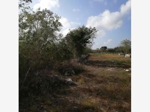 Terreno en Venta en Xcunya Mérida