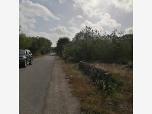 Terreno en Venta en Xcunya Mérida